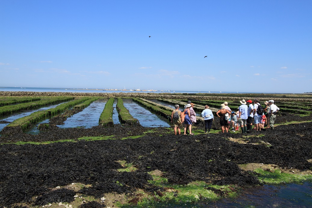 Mairie de Loix - Site officiel de la mairie de Loix - Ile de Ré