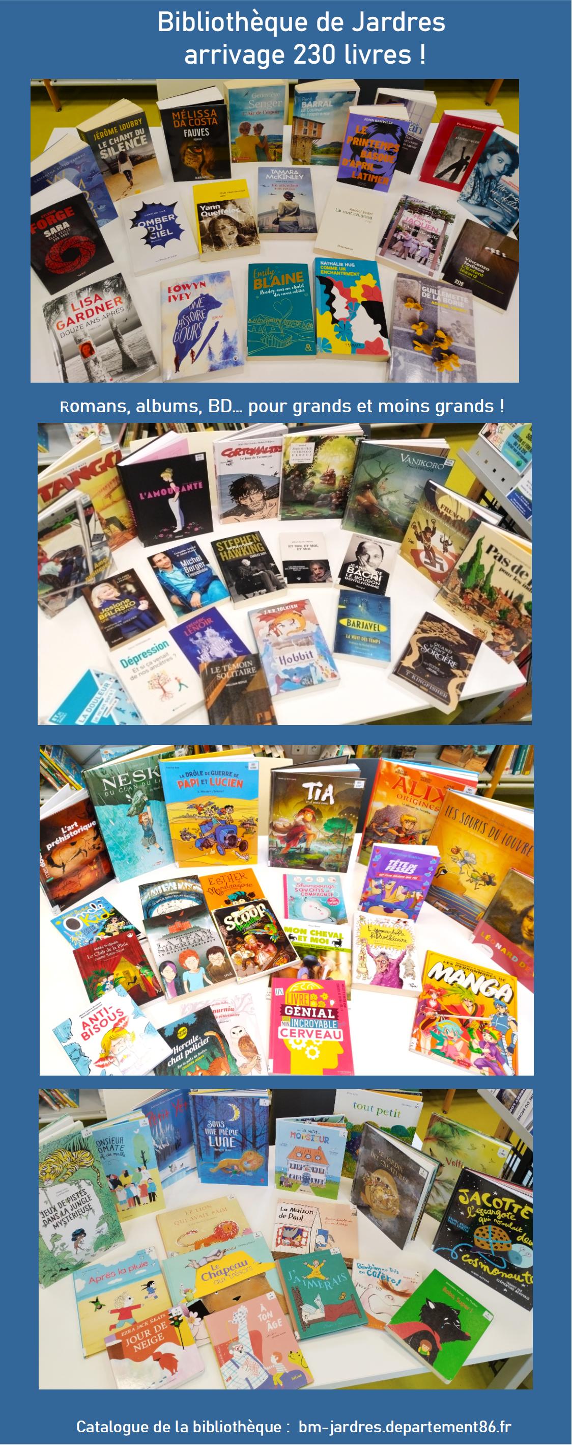 Arrivage BDV fevrier26.jpg