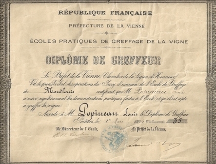 FORMATION AU GREFFAGE DE LA VIGNE.jpg