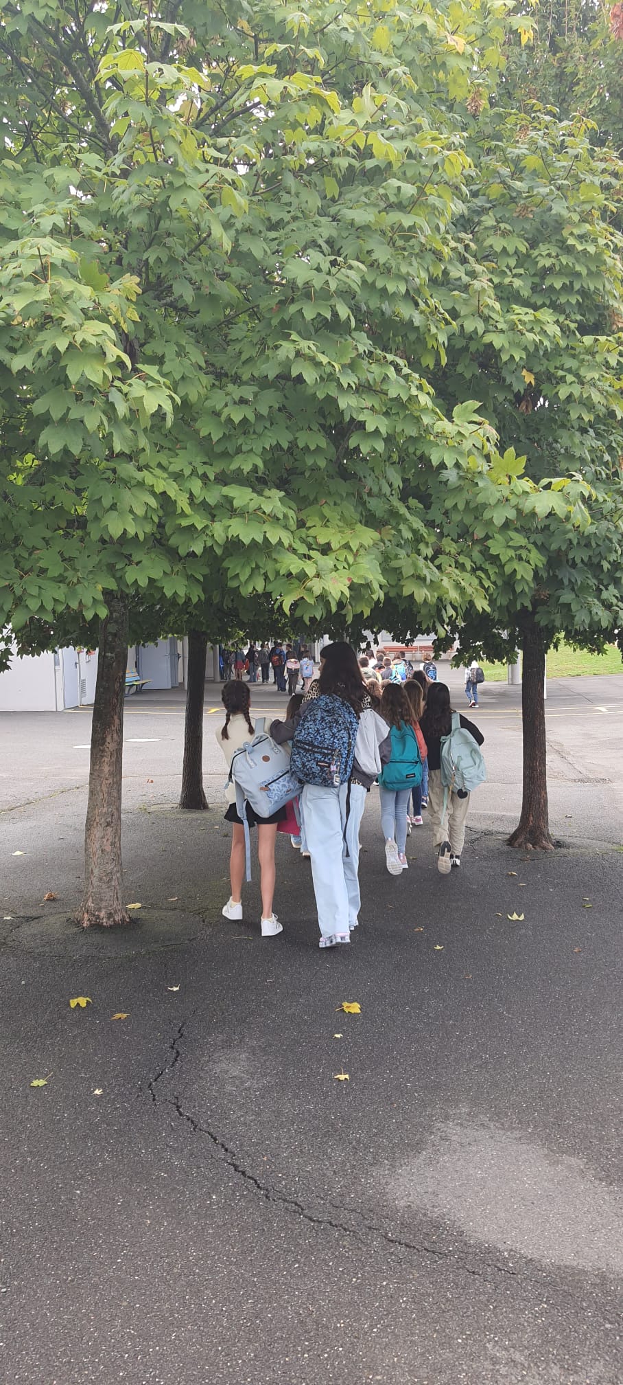 rentrée 01.09.25.2.jpg