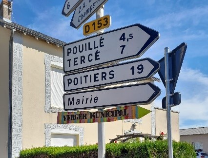 chantier jeune 2022 6.jpg