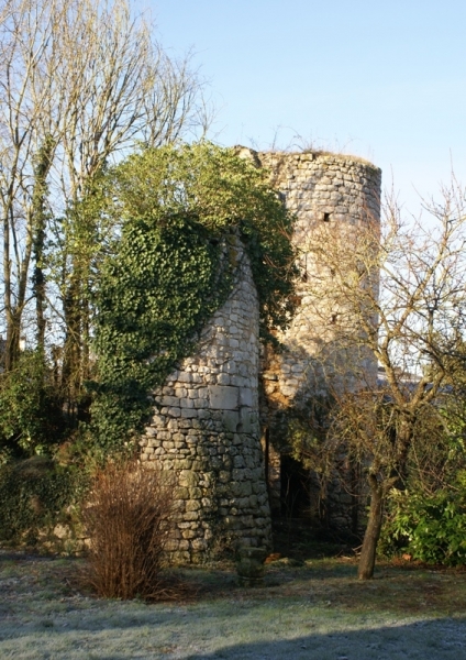 La tour et motte.jpg