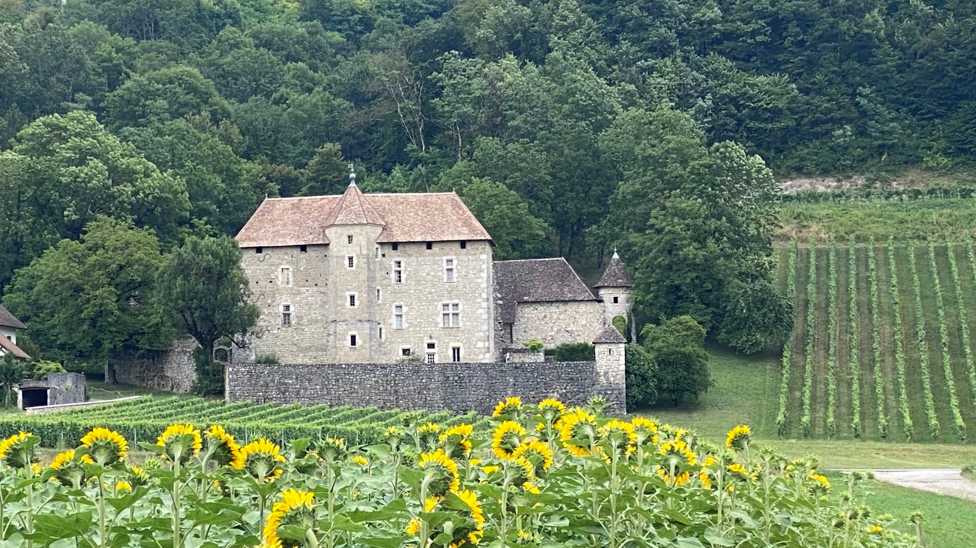 Ruffieux 73 - Site officiel