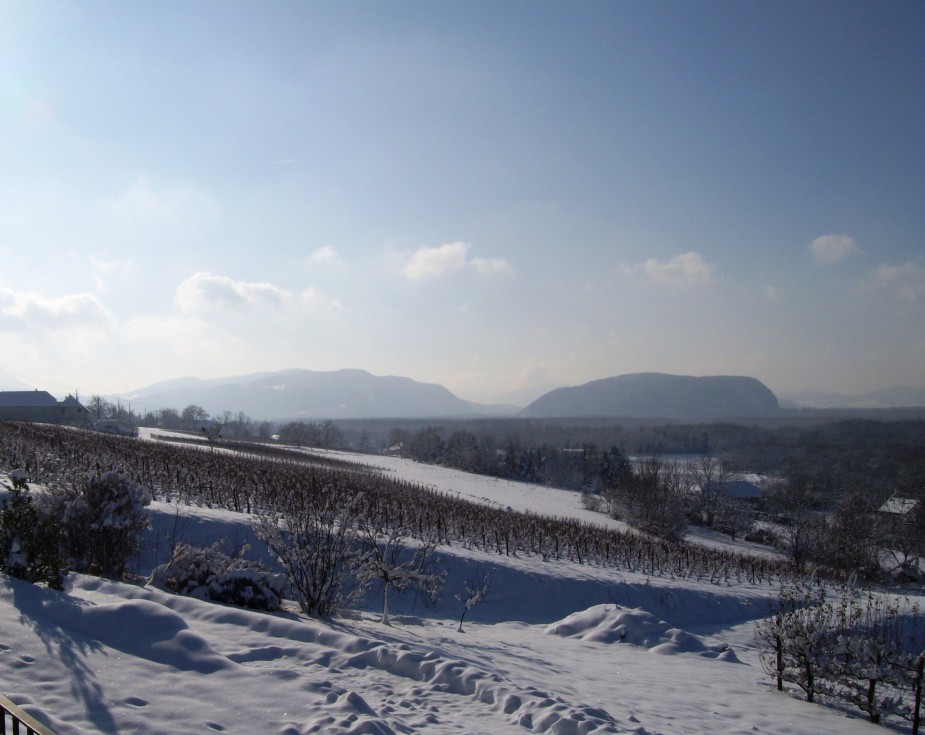 Neige Mollard