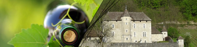 Montage château et vin