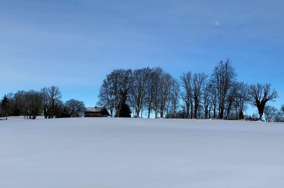 clergeon neige 01 2021 2.jpg