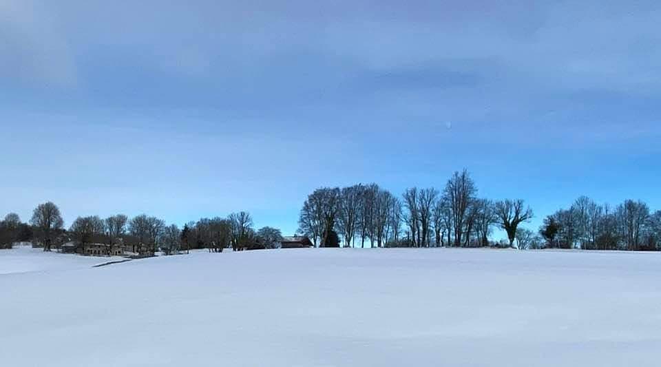 clergeon neige 01 2021 3.jpg