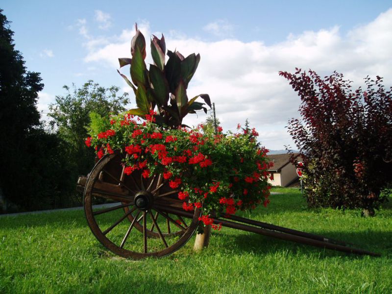 Chariot fleurs