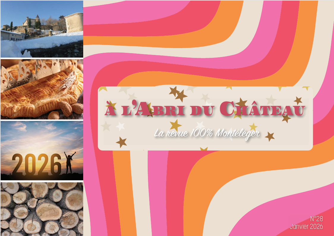 Abri du chateau N°28.png