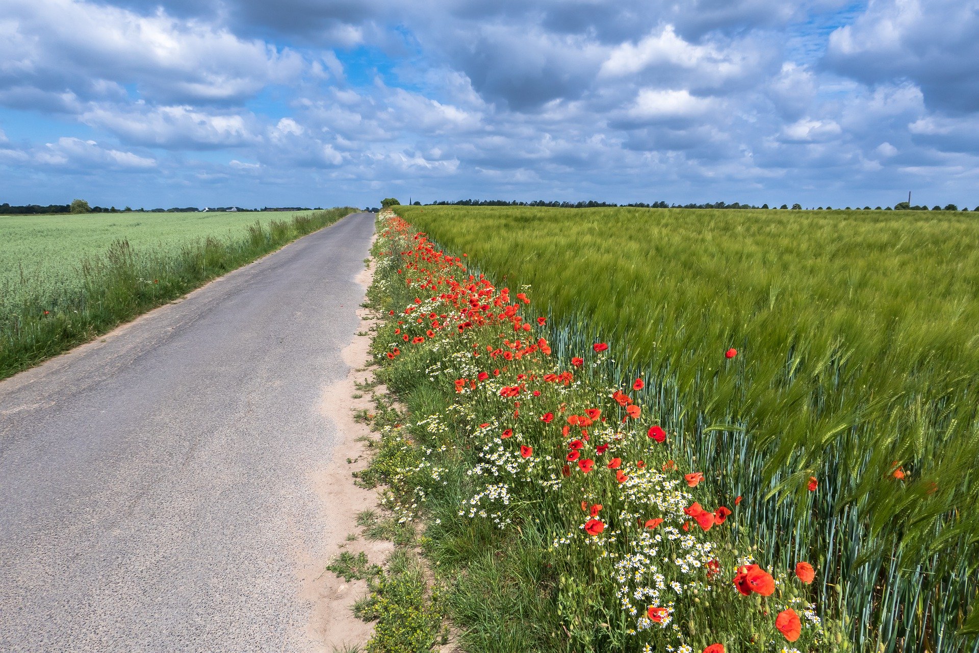 bord de route.jpg