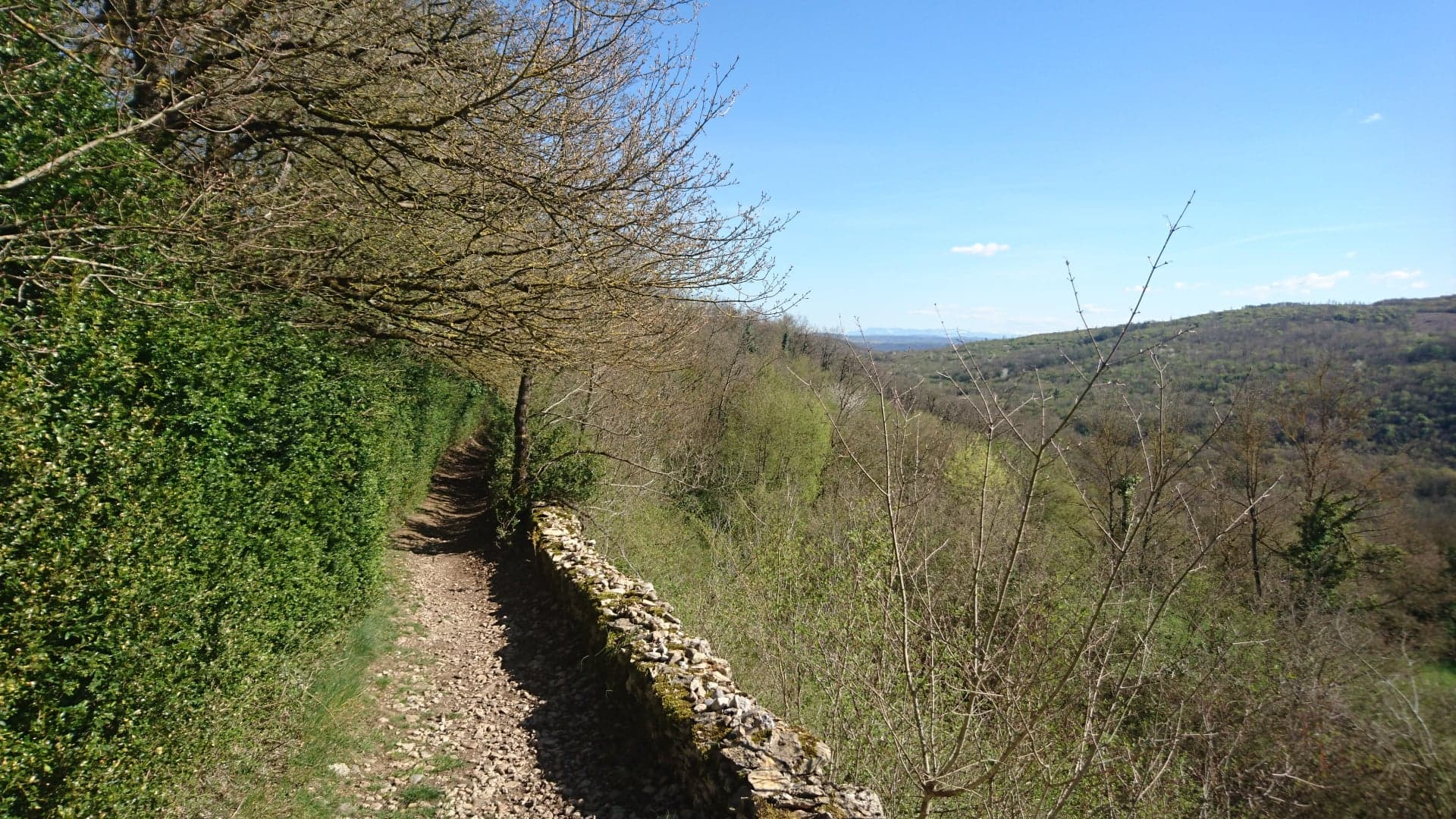 sentier de randonnée.jpg