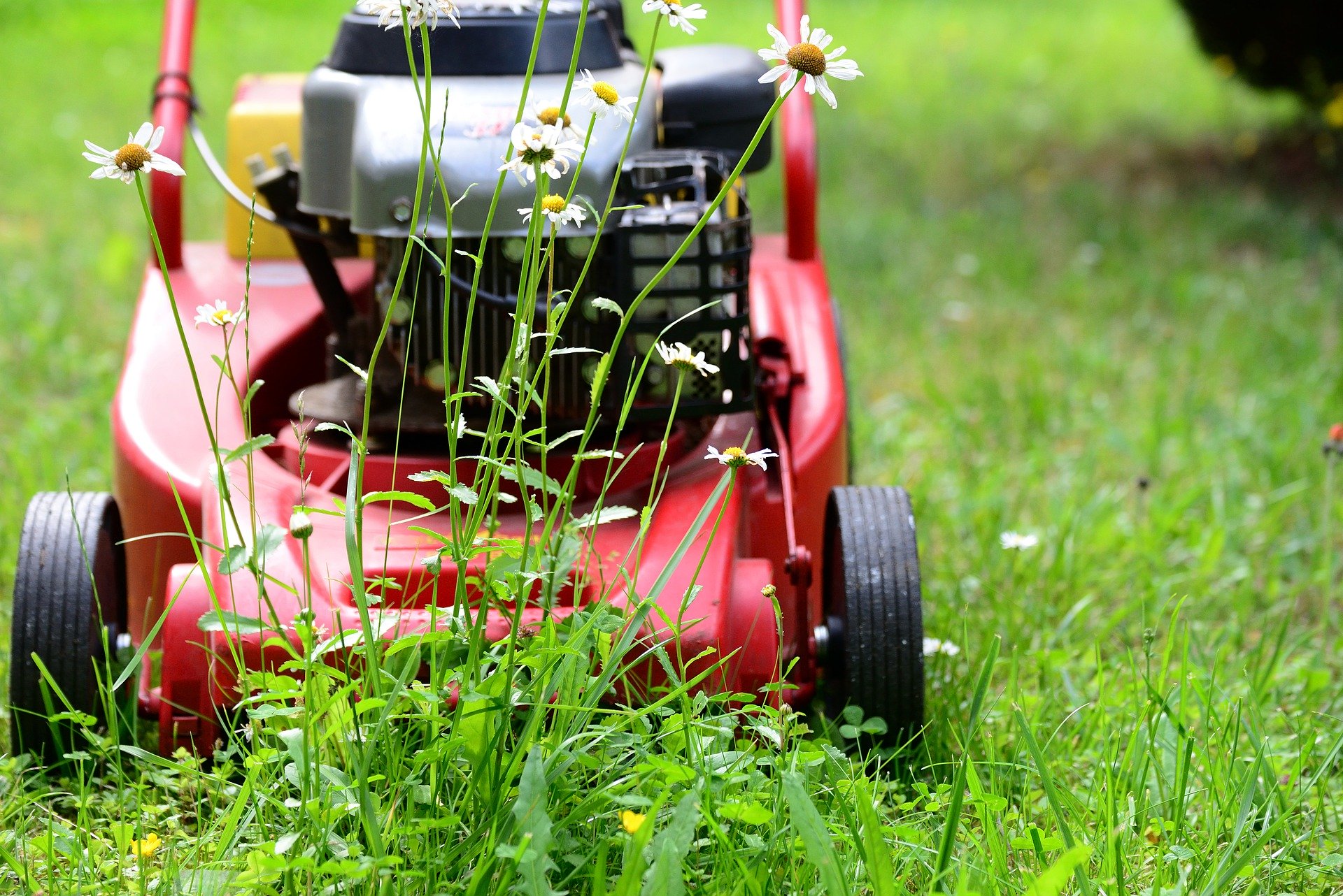 lawn-mower-5329533_1920.jpg