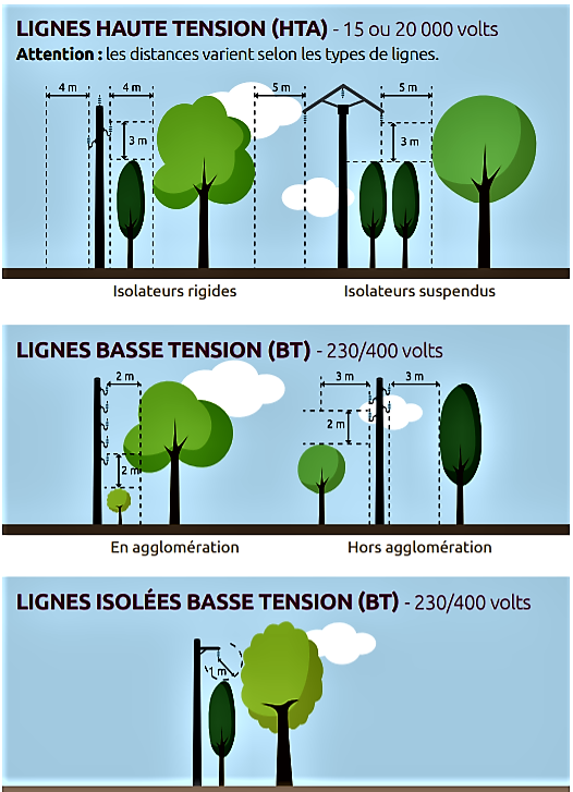 Elagage des arbres.png