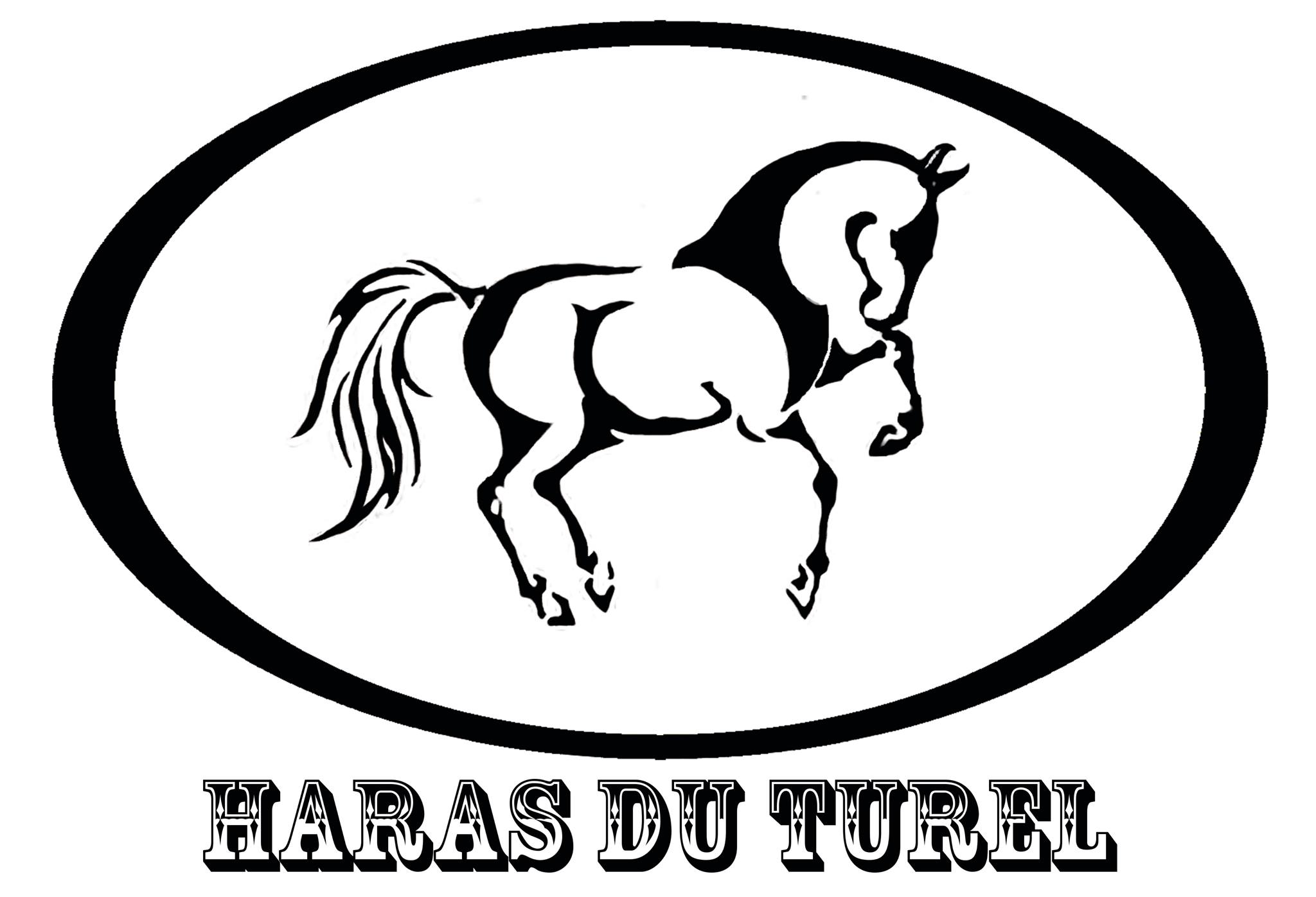 Haras du Turel.jpg