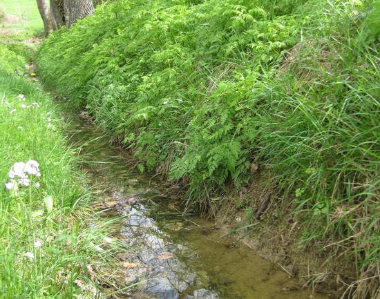 Débordement de fossés.jpg