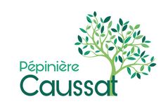 Caussat pépinières.JPG