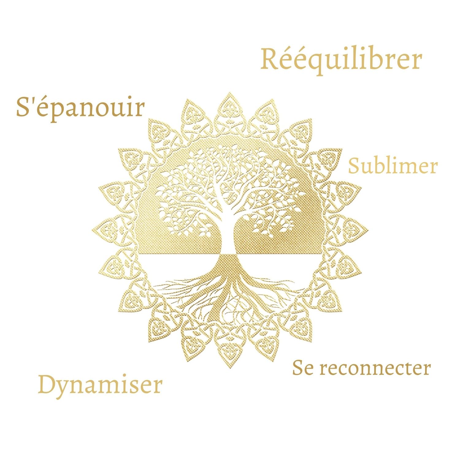 visuel présentation.jpg