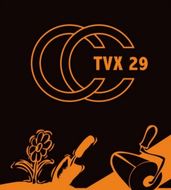 vignette - cctvx29.png