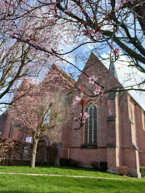 Steenbecque 8.jpg