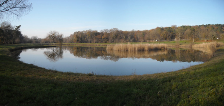 Panorama étang3.JPG