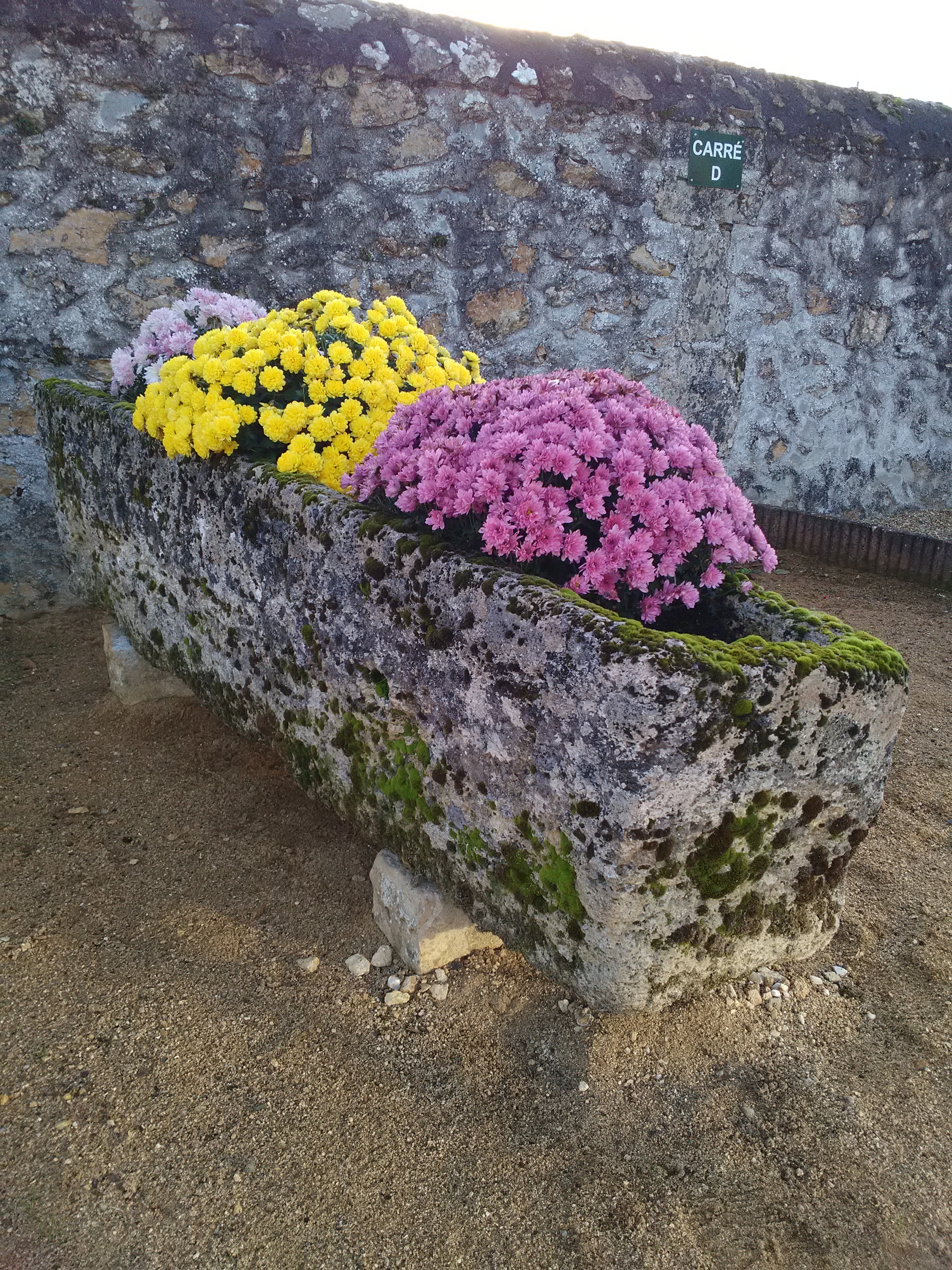 Sarcophage1.jpg