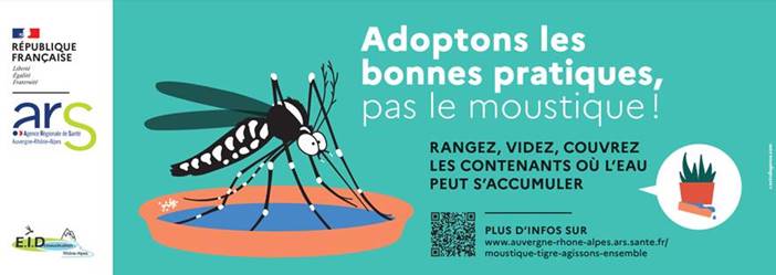 moustique_image004.jpg
