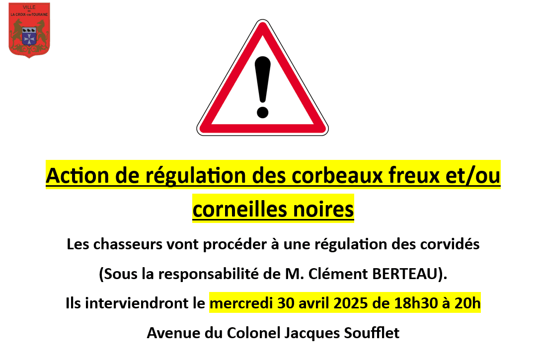 Capture d_écran 2025-04-28 121411.png