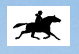 Logo poney club