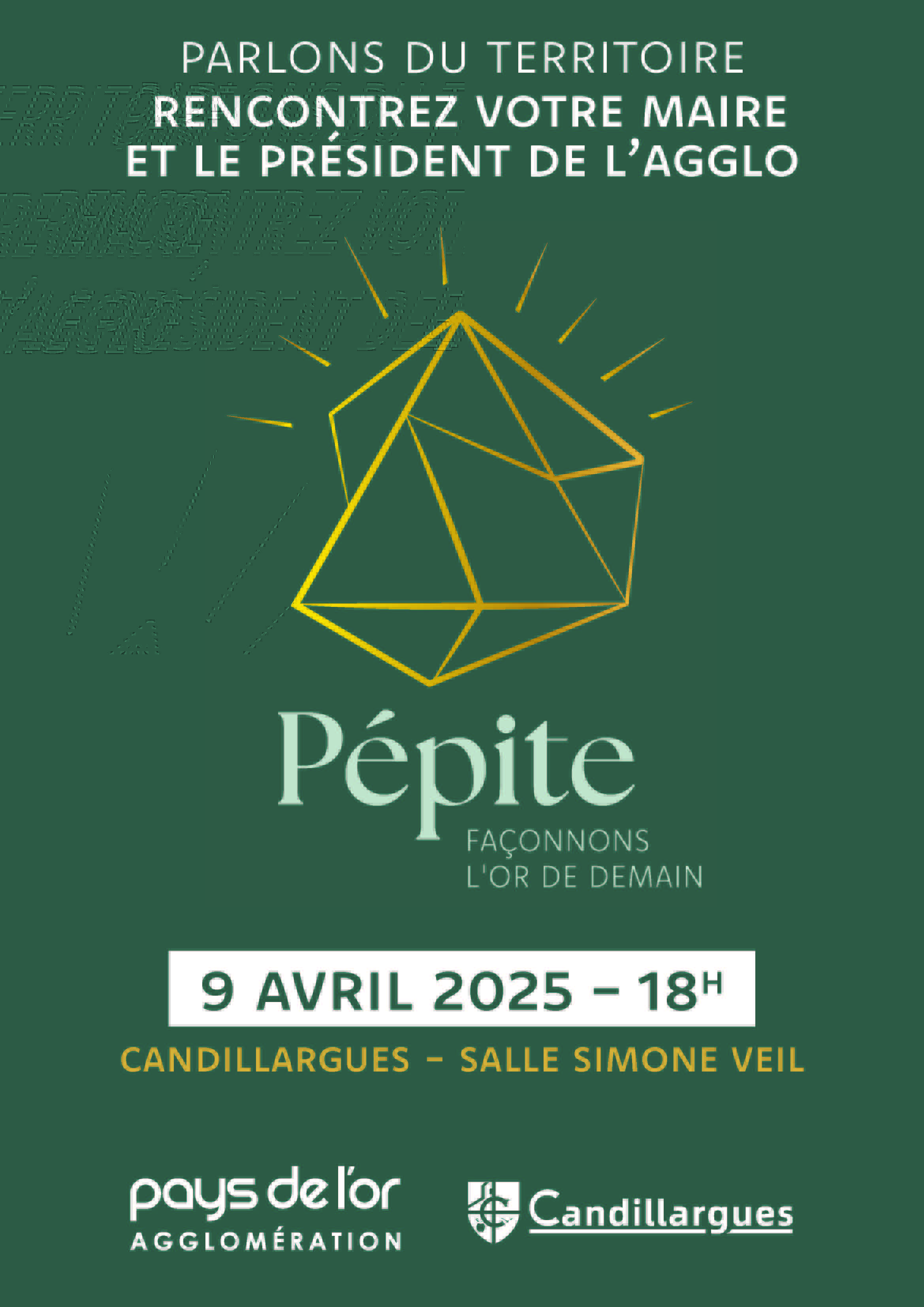 Affiche_Réunions_publiques_Pépite_A3_1HD_06_Candillargues.jpg