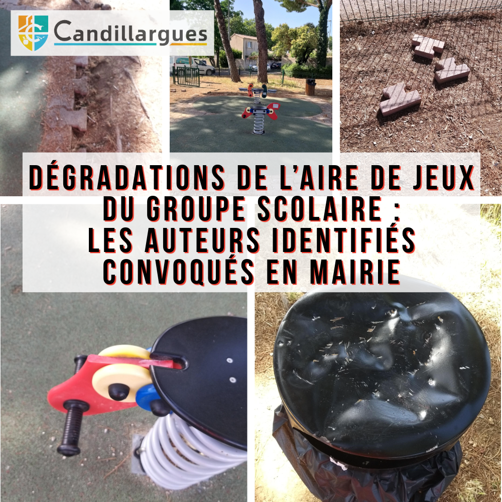 Projet Créateur de collage - 24 juin 2026 à 16.56.07.png