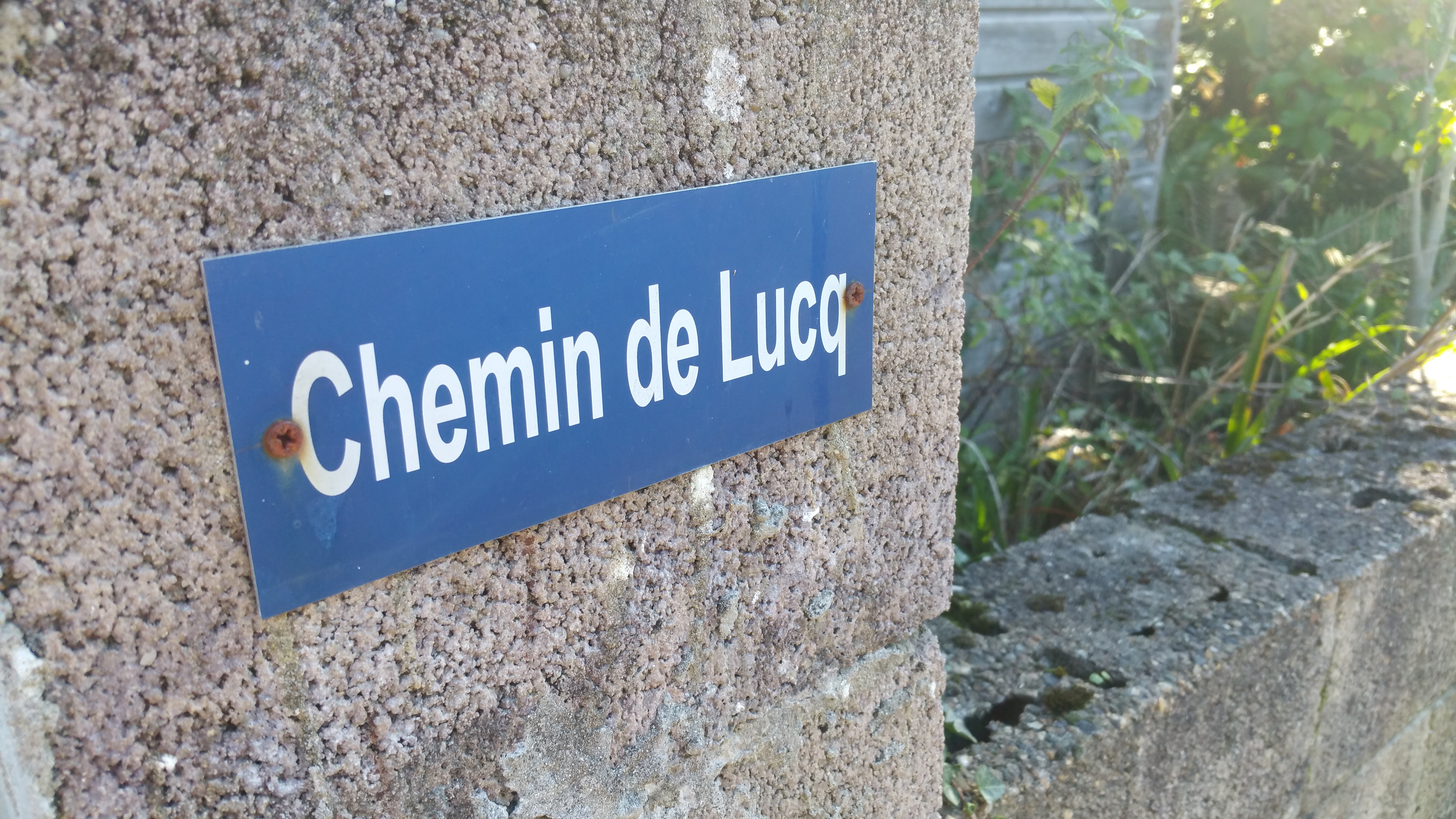 Chemin de Lucq - 1.jpg