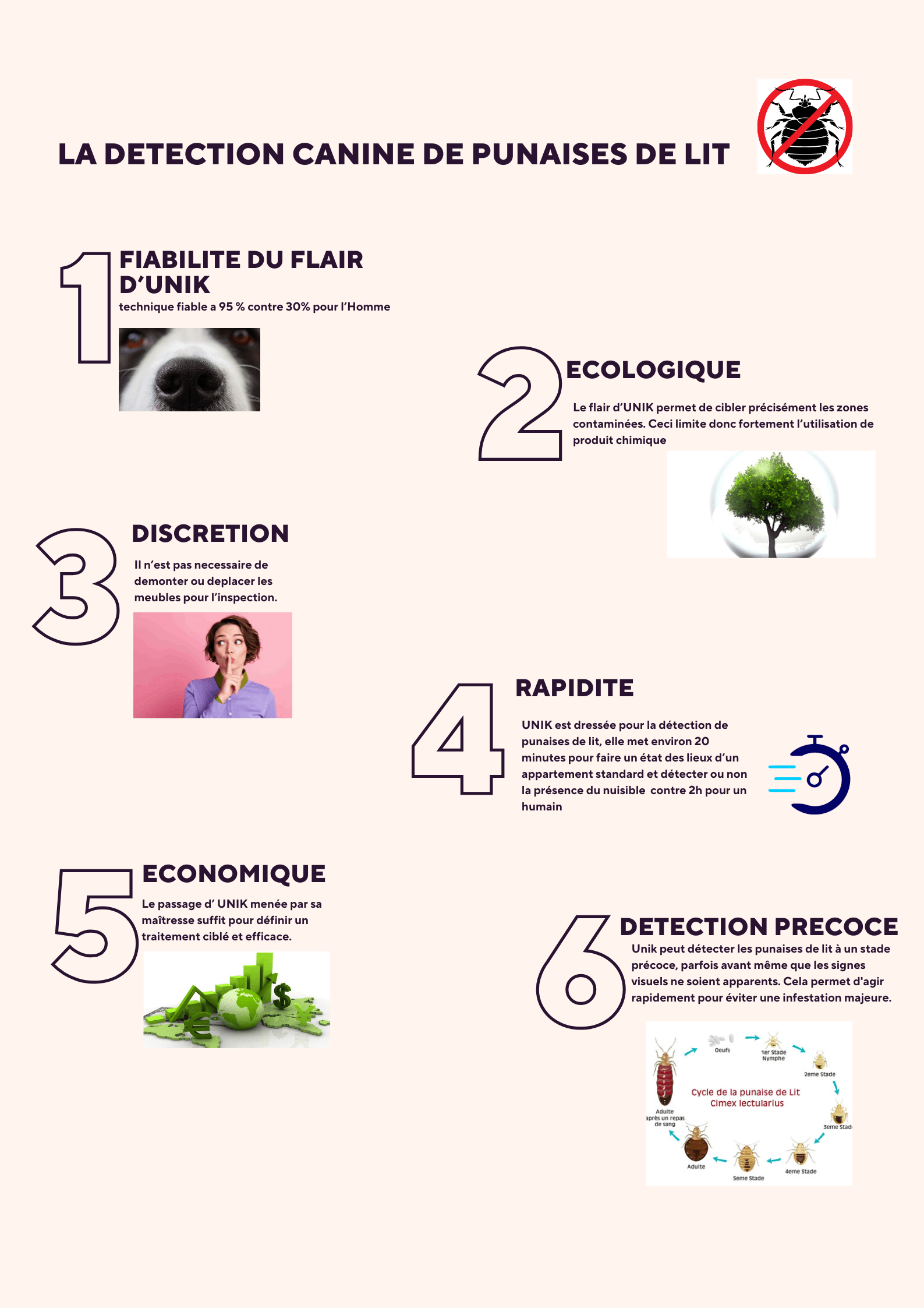 LA DETECTION CANINE DE PUNAISE DE LIT.png