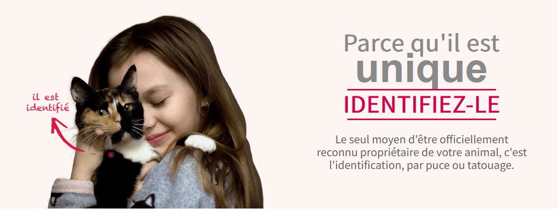 identification.jpg