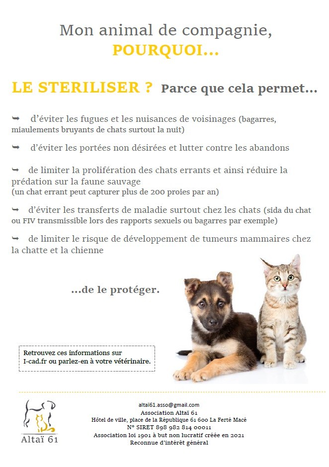 png stérilisation.jpg