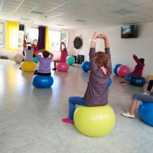arts et loisirs - gym ball sanior.jpg
