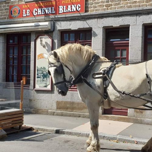 Cheval Blanc.jpg