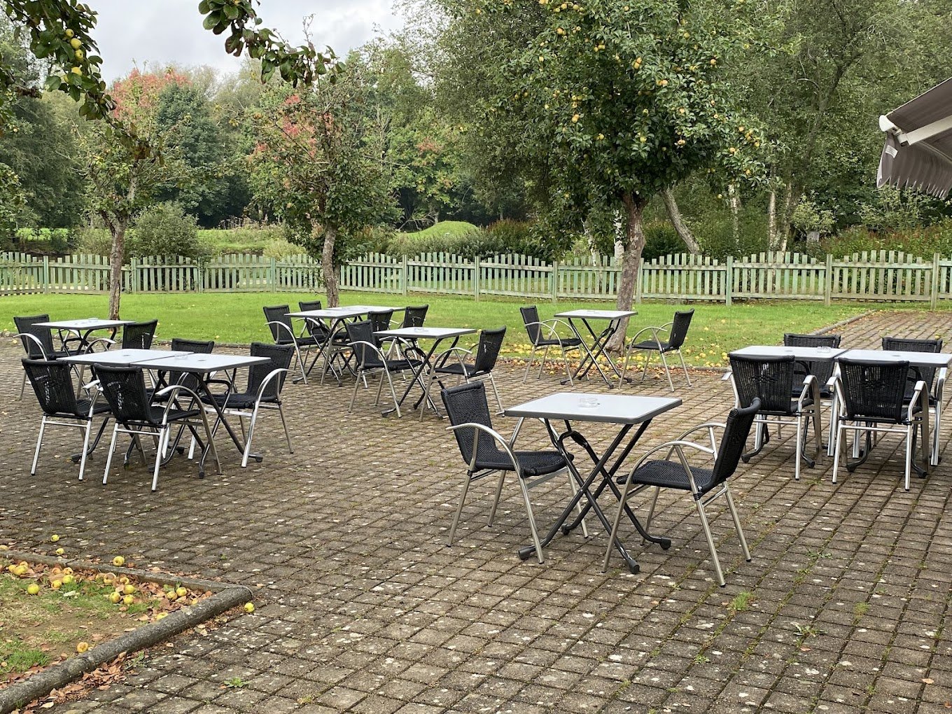 Location salle des fêtes Larchamp - étang _1_.jpeg