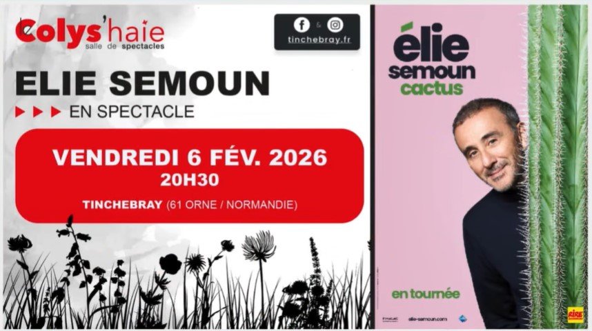 Colyshaie Elie Semoun.jpg