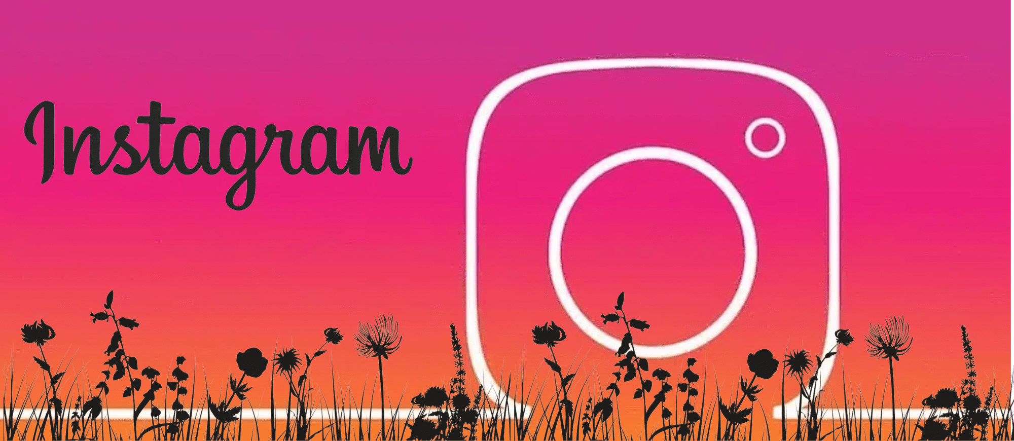 Bouton Instagram.png