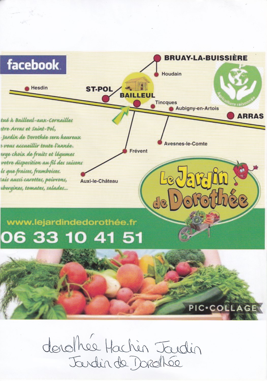 LE JARDIN DE DOROTHEE 1.jpg