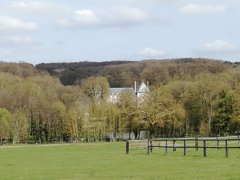 chateau hidden by trees.jpg