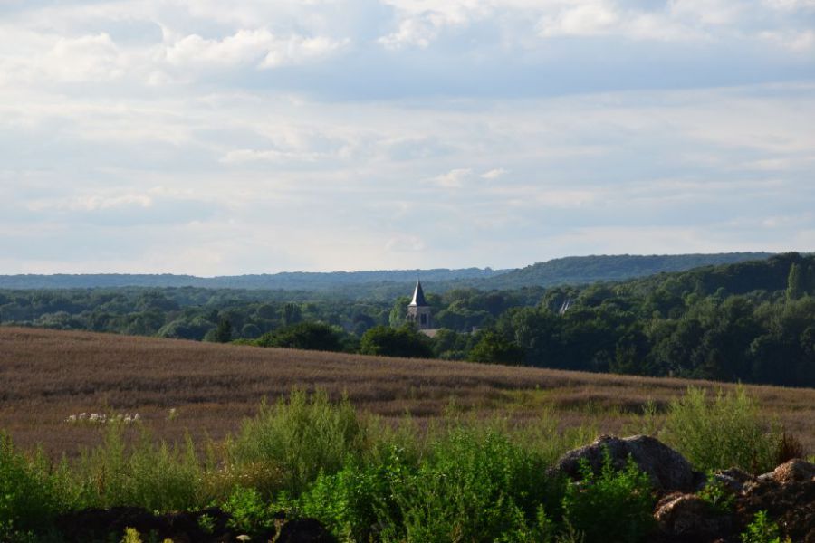 panoramique.JPG