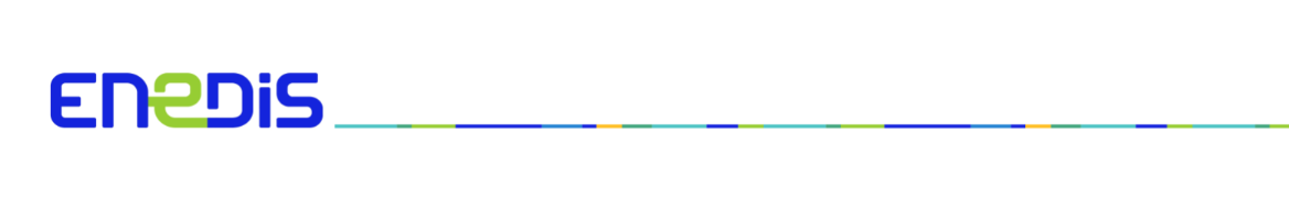 ENEDIS.png