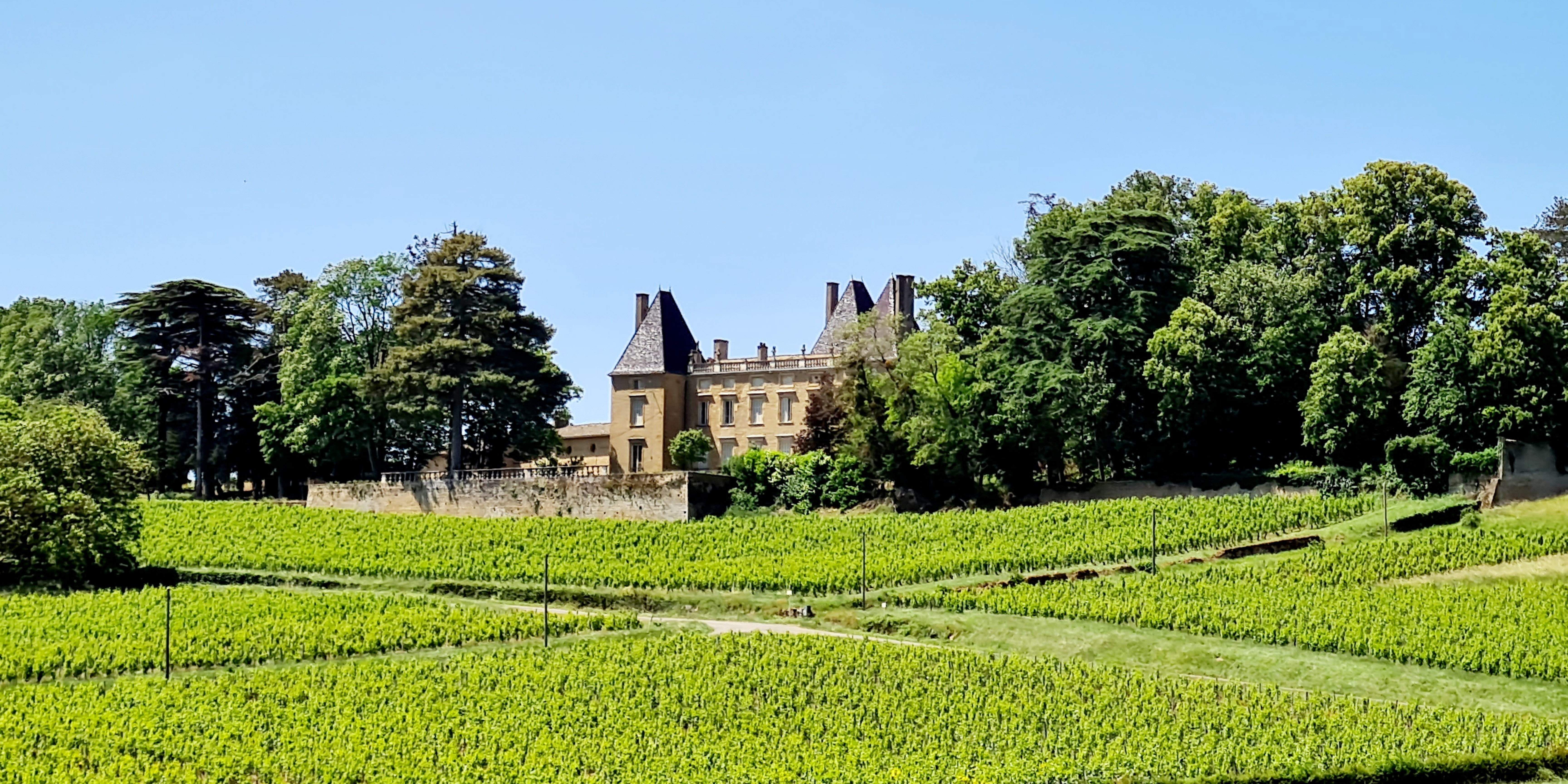 Château de Vinzelles 2020.png