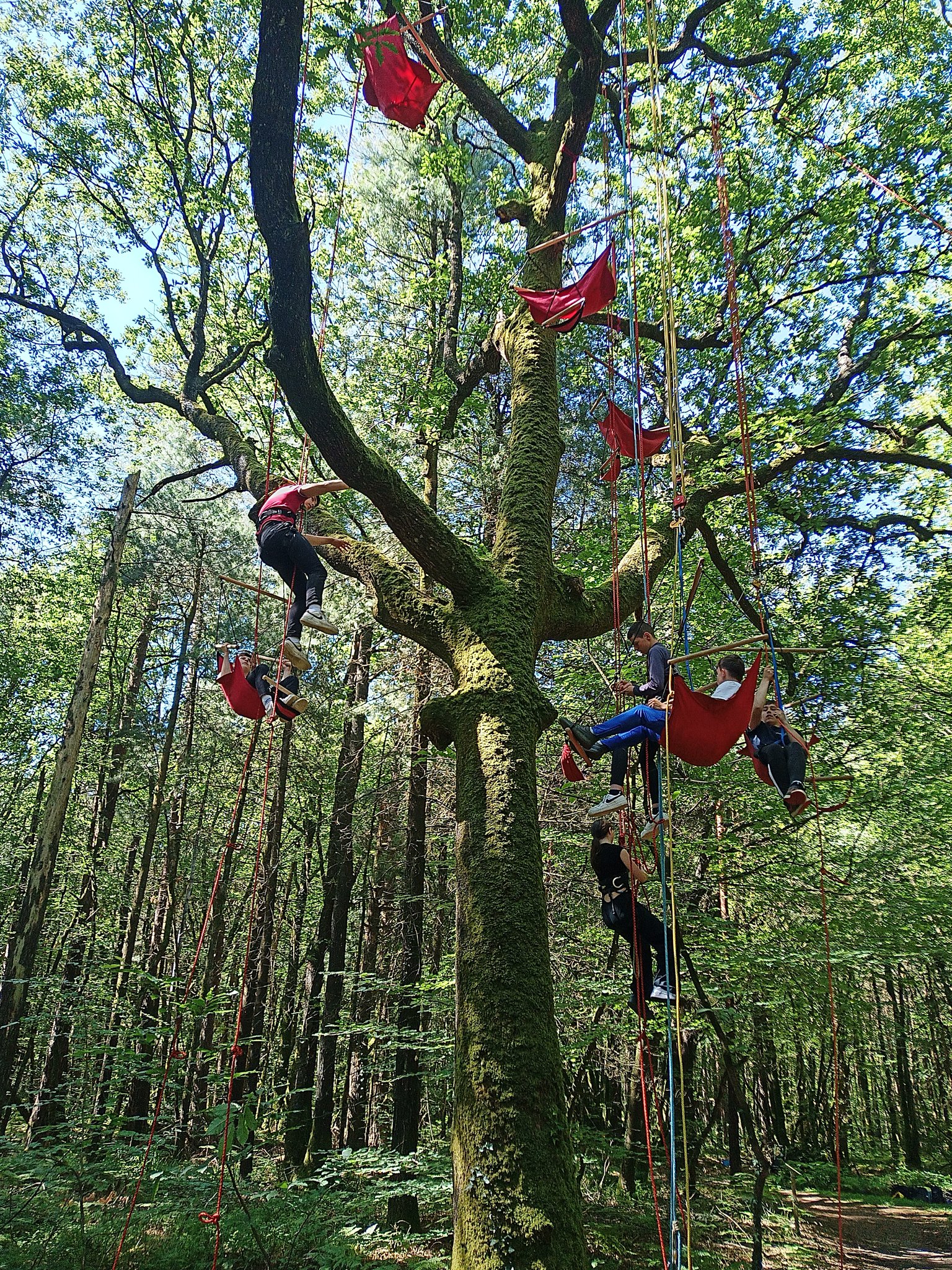 Arbonambule animation avec la MFR Loudéac 2024 2.jpg