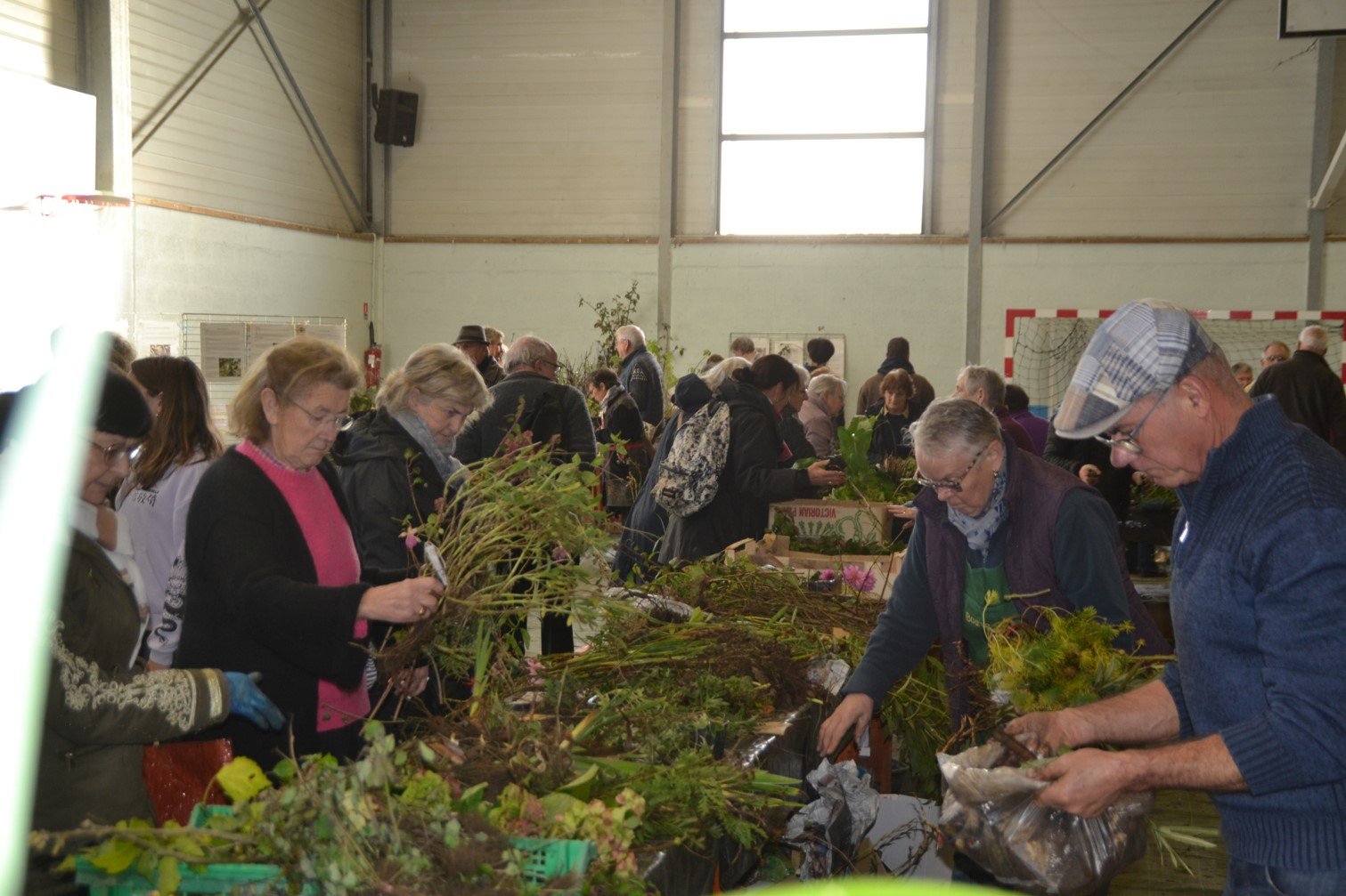 Bourse aux plantes 2023.jpg