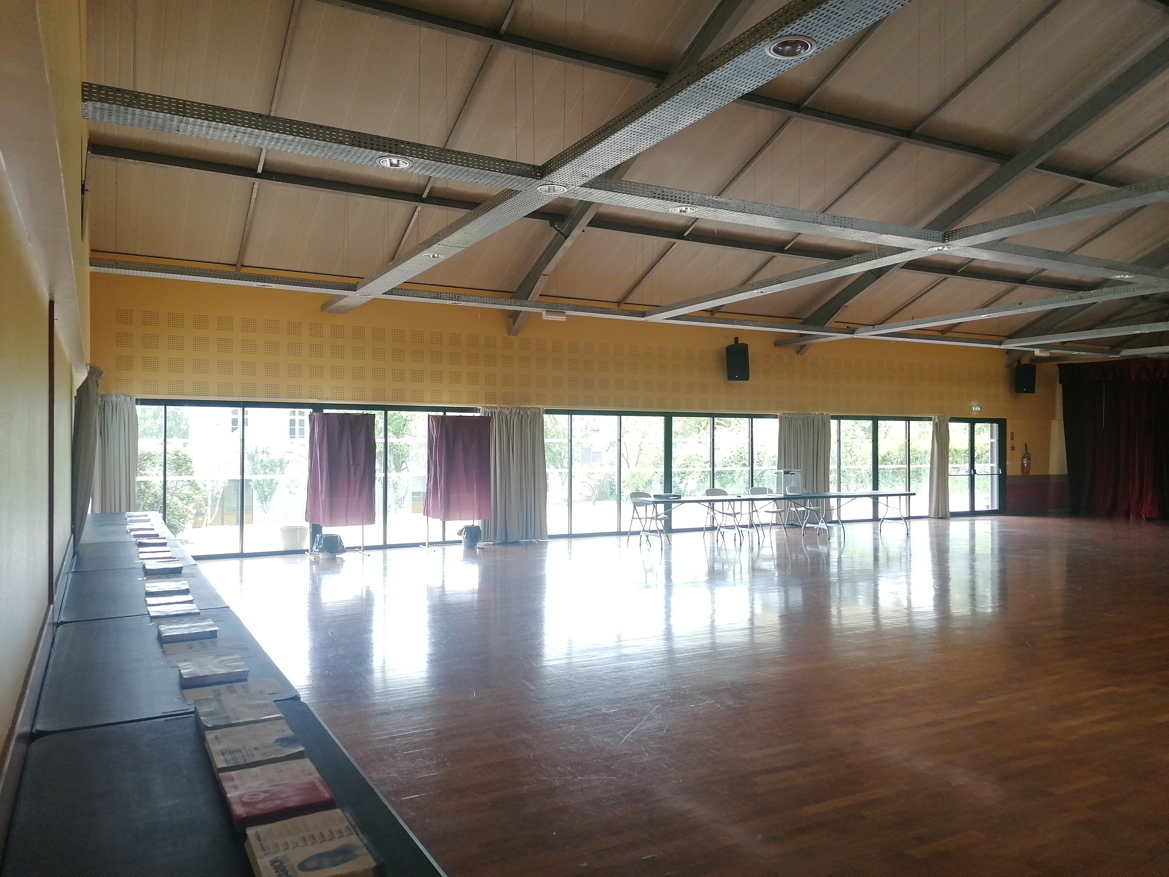 Elections EU 2024.jpg