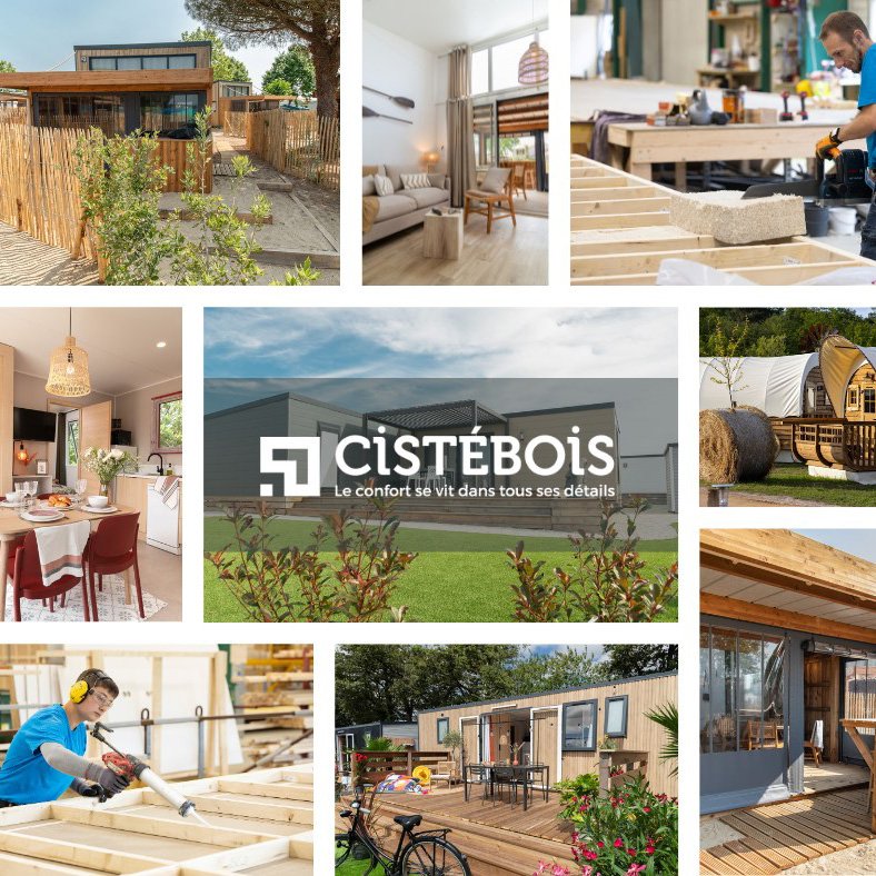 CISTEBOISc.jpg