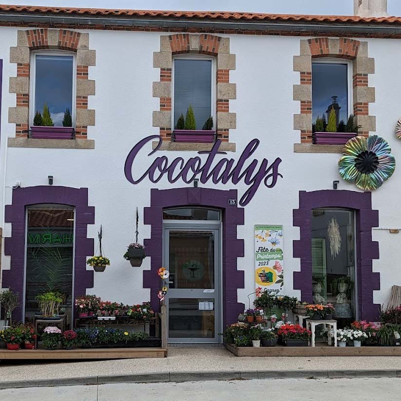 cocotalysc.jpg