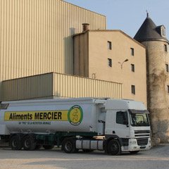 Mercier 600X600.jpeg